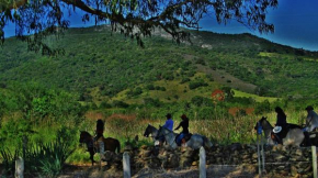  Fazenda da Roseta - Turismo Rural e Passeios a Cavalo -  Баэпенди